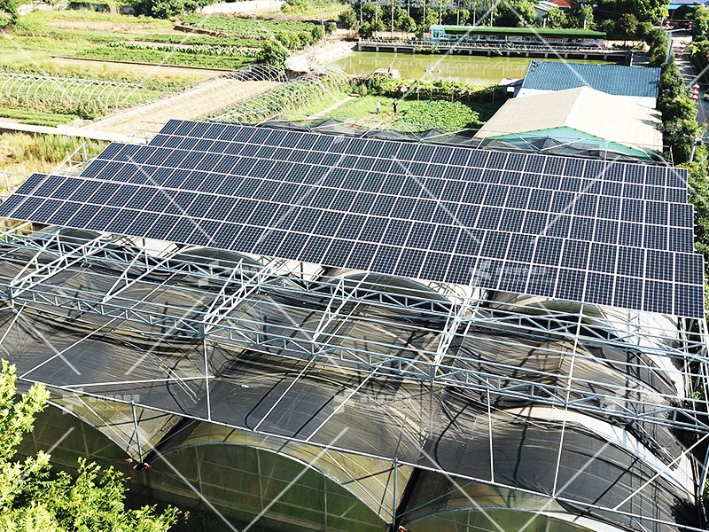 湖北w88优德绿色能源有限公司