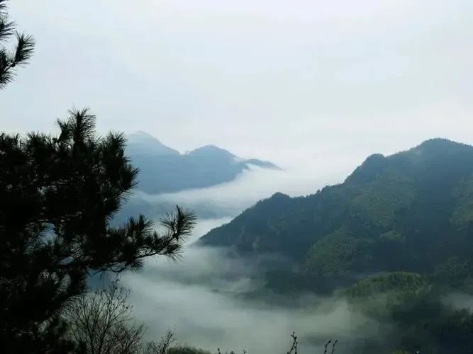 湖北w88优德绿色能源有限公司