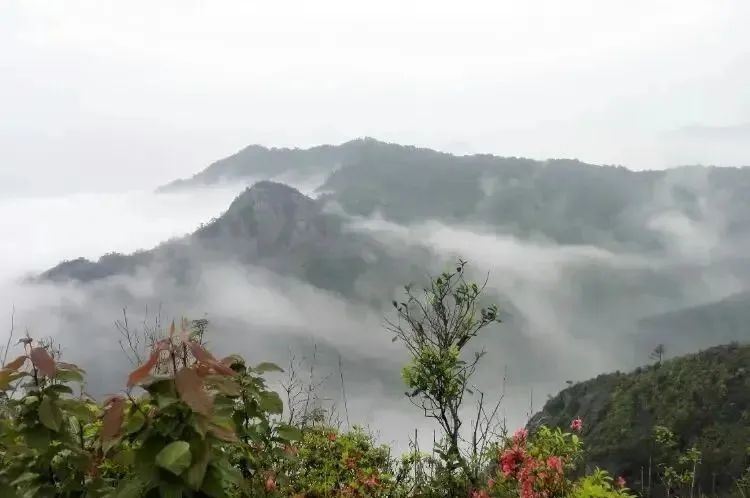 湖北w88优德绿色能源有限公司