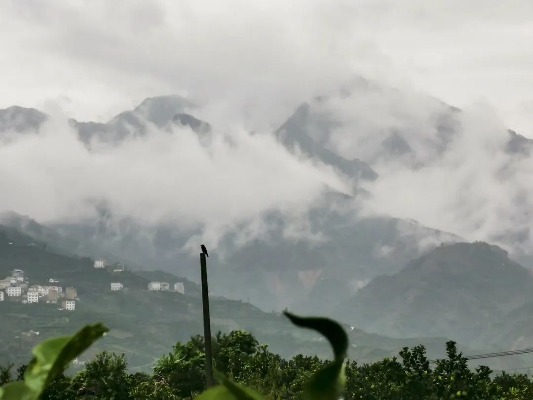 湖北w88优德绿色能源有限公司