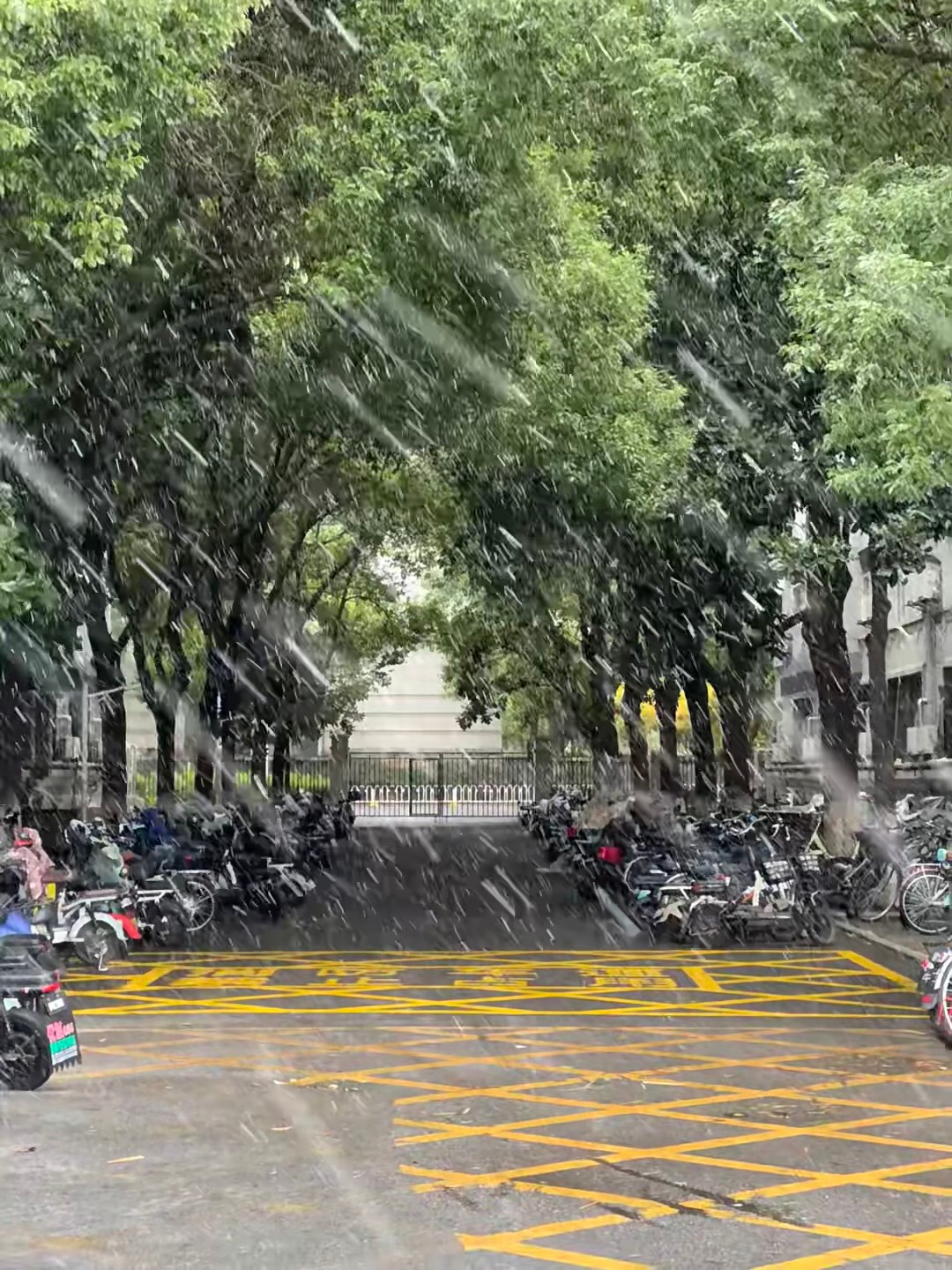 w88优德 w88优德